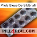 Pilule Bleue De Sildénafil 30